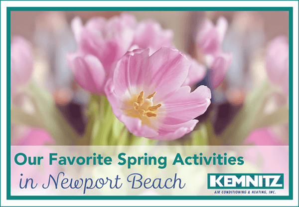 Our Favorite Spring Activities in Newport Beach