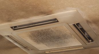 How to Combat Mold Issues in Your Commercial HVAC